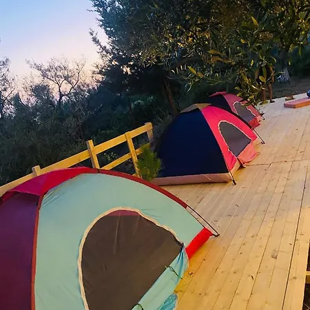 Adventure Camping *